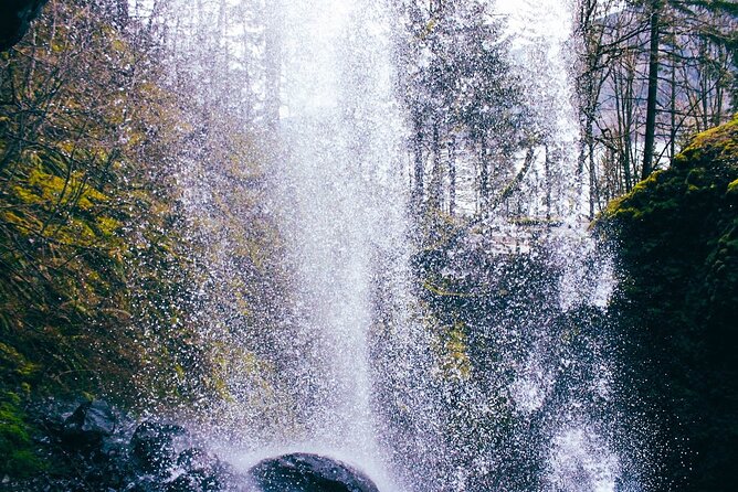 Waterfalls & Waterfront E-Bike Tour on Car-Free Bike Path - Why this route feels different from the usual Gorge stops