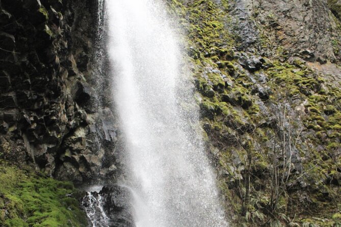 Waterfalls & Waterfront E-Bike Tour on Car-Free Bike Path - The iconic tunnel and what it adds to the ride