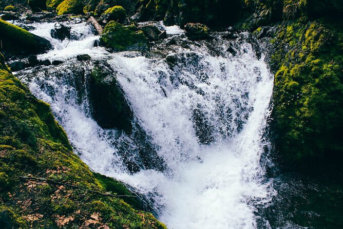 Waterfalls & Waterfront E-Bike Tour on Car-Free Bike Path - Pace, effort, and who this tour suits best
