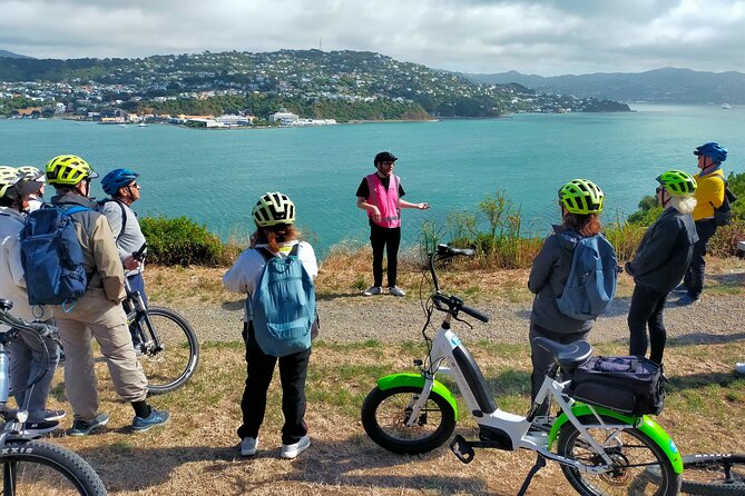 Wellington Guided eBike Tour-Cruise Shore Excursion - From Cruise Port to Bikes: how the start really works