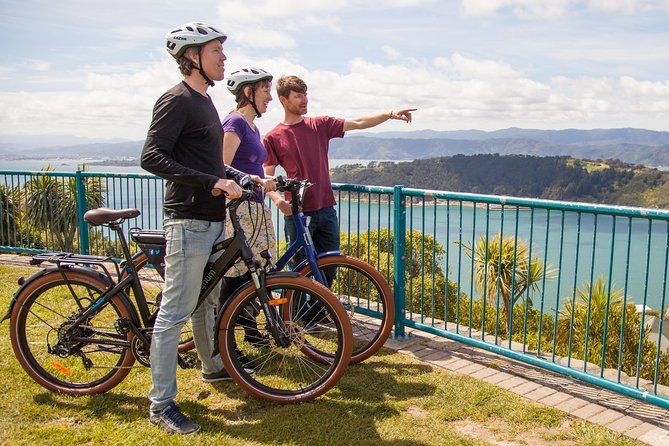 Wellington Guided eBike Tour-Cruise Shore Excursion - Wellington Waterfront and Miramar Peninsula: why the route feels like a win
