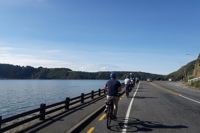 Wellington Guided eBike Tour-Cruise Shore Excursion - How the guides keep 24 people safe (and moving)