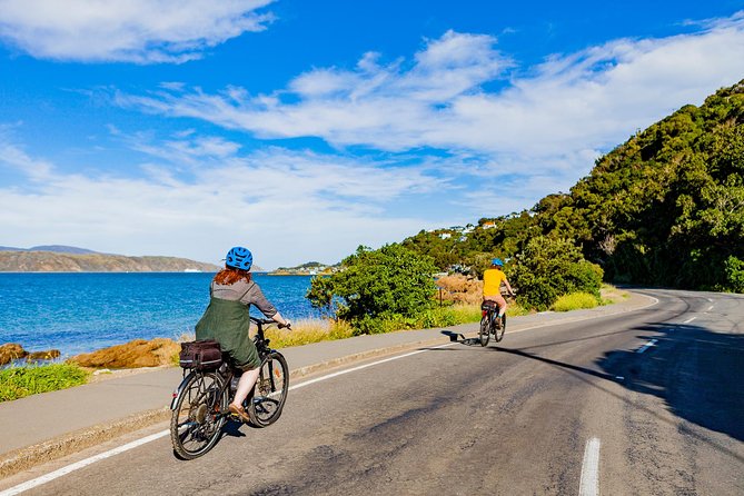 Wellington Self-Guided Electric Bike Tour - Mount Victoria: use TURBO mode and earn the lookout
