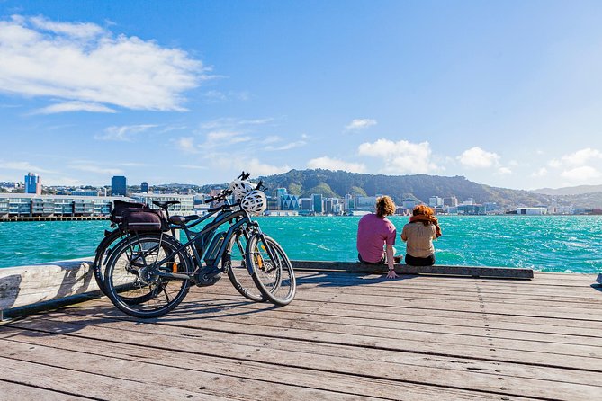 Wellington Self-Guided Electric Bike Tour - Lyall Bay: beaches, cafes, and plane-spotting