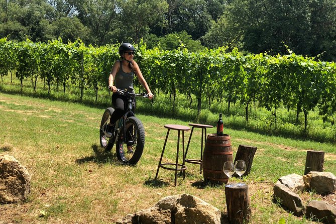 Wine Tour Ebike Experience - Two wineries, eight wines: tasting format that’s actually useful