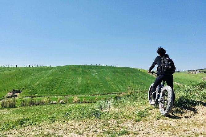 Wine Tour Ebike Experience - Timing and lunch: optional, and it can change how the ride feels