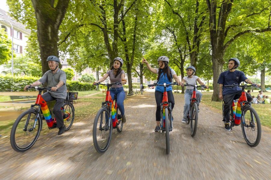 Zurich: E-Bike City Tour - Key highlights worth marking