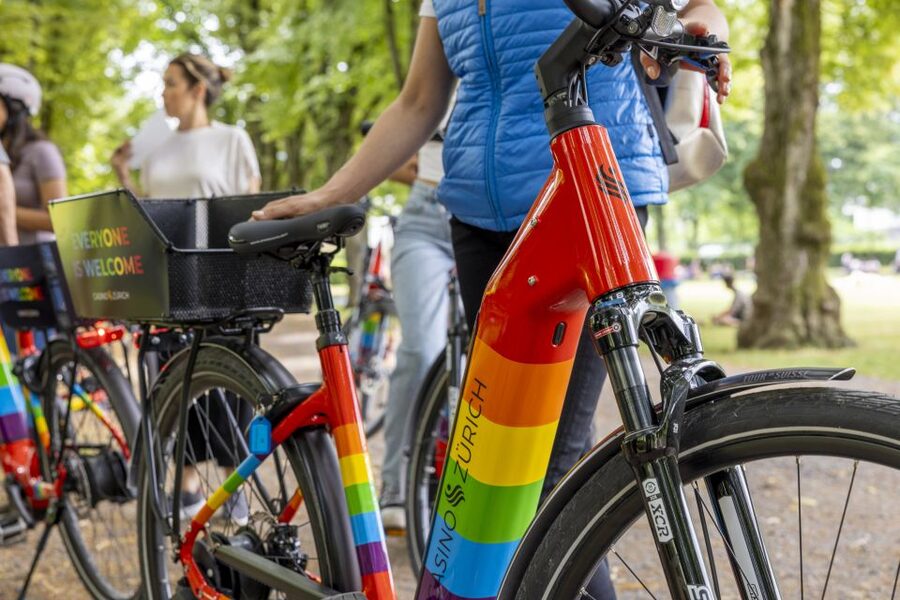Zurich: E-Bike City Tour - Zürich West: old industrial space, new creative Zurich